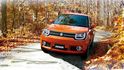 2019 Suzuki Ignis 1.2 GLX  第6張縮圖