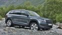 2019 Skoda Kodiaq 2.0 TSI 4x4尊榮版  第1張縮圖