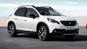 2019 Peugeot 2008 1.2 Pure Tech Grip Control  第1張縮圖