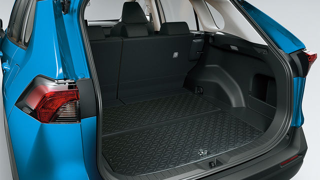 2019 Toyota RAV4 2.0尊爵  第10張相片
