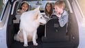 2019 Citroen Grand C4 Picasso Premium Pack 360  第9張縮圖