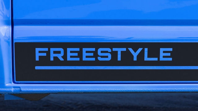 2019 Volkswagen Freestyle 2.0 TDI  第5張相片