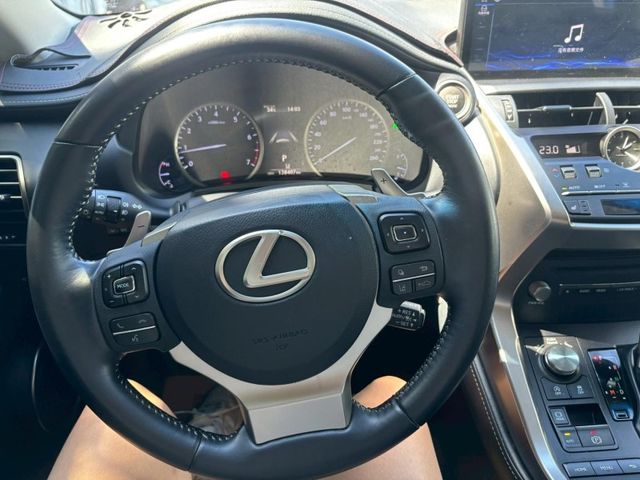NX200菁英版 倒車顯影 ACC跟車  第10張相片