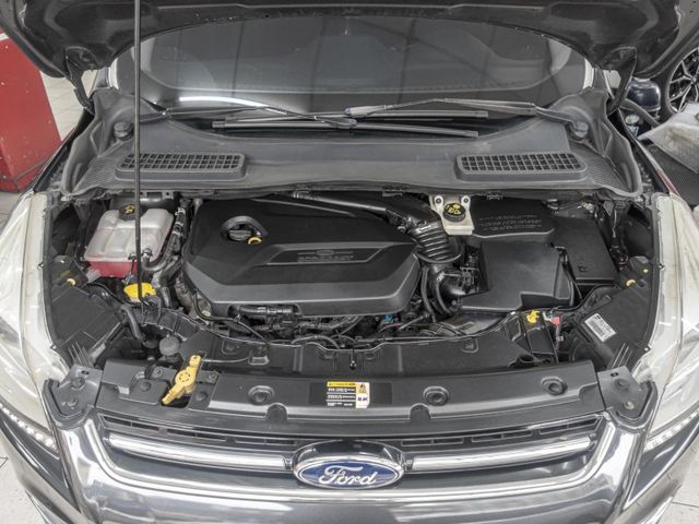 Ford/福特 Kuga  第6張相片