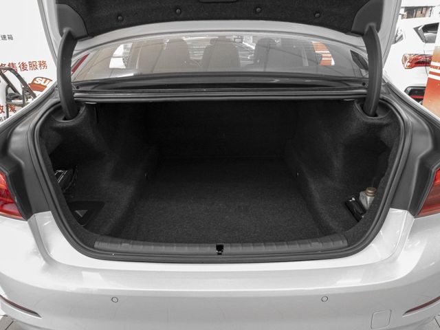 BMW/ 寶馬 520i  第21張相片