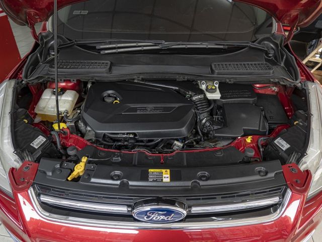 Ford/福特 Kuga  第3張相片