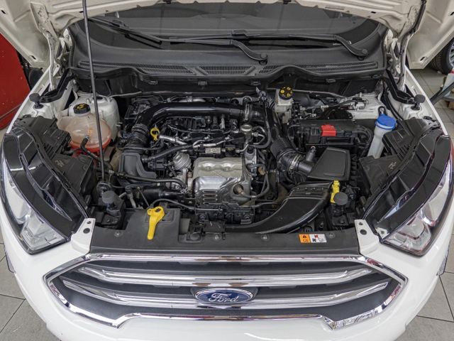 Ford/福特 EcoSport  第3張相片