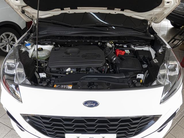 Ford/福特 Kuga  第3張相片