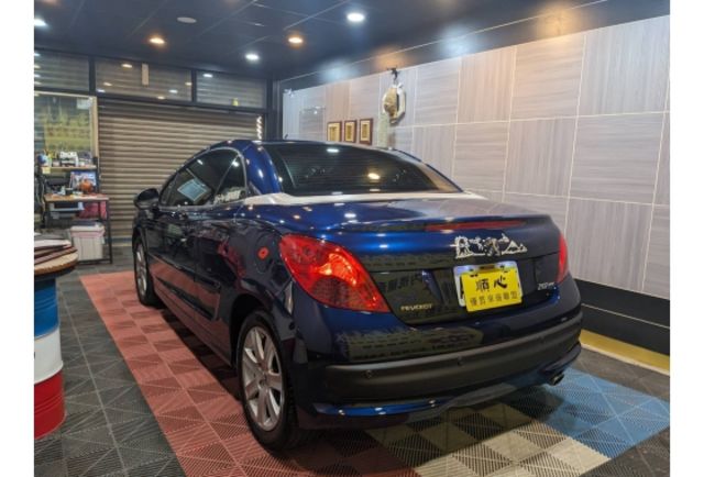 09領 207CC 稀有藍紫色  第4張相片
