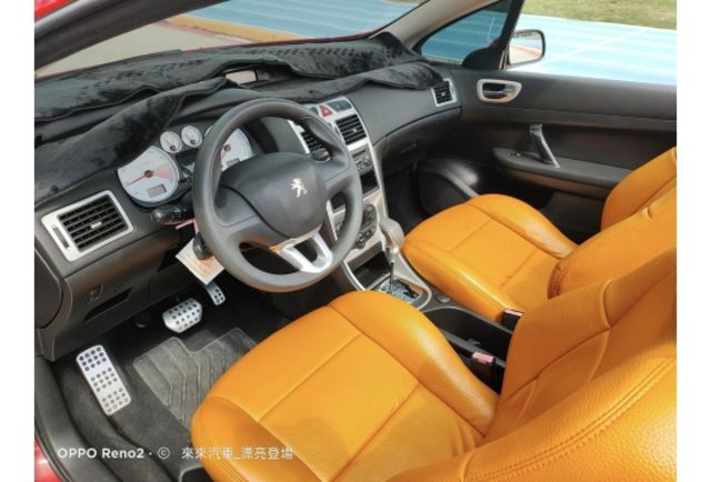 平均一年只跑6千公里上空美型獅307cc  第6張相片
