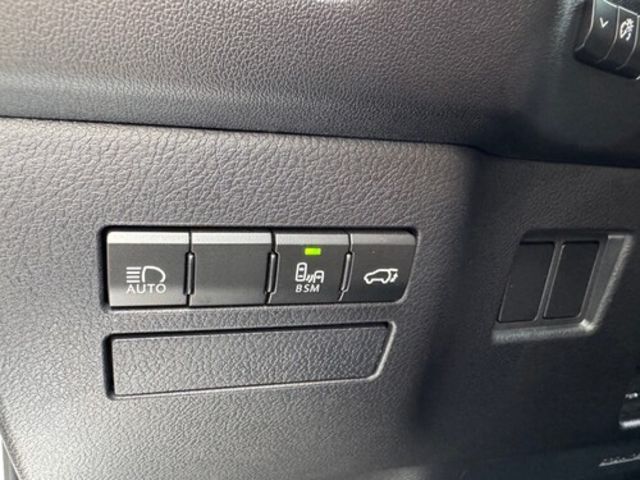 LEXUS凌志 NX300  第16張相片