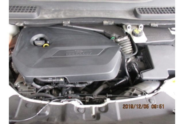Ford KUGA  第9張相片