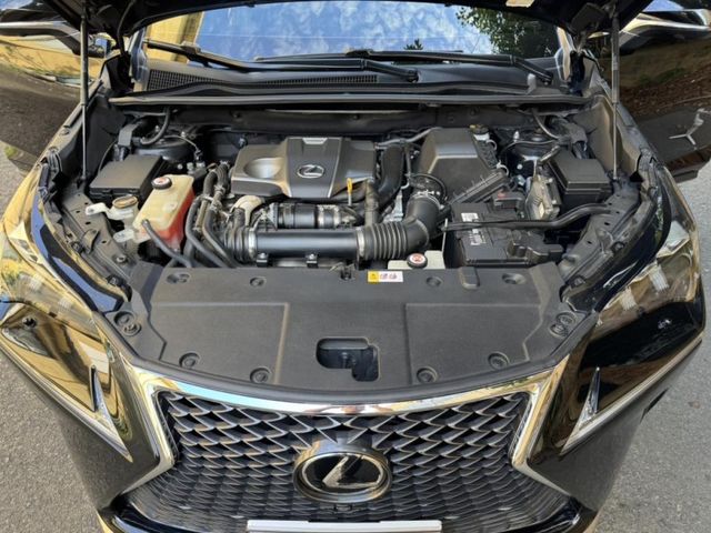 Lexus NX  第13張相片