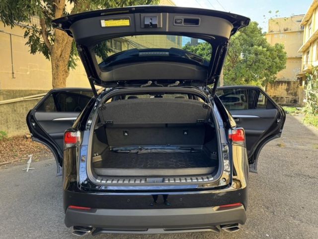 Lexus NX  第7張相片