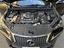 Lexus NX  第10張縮圖