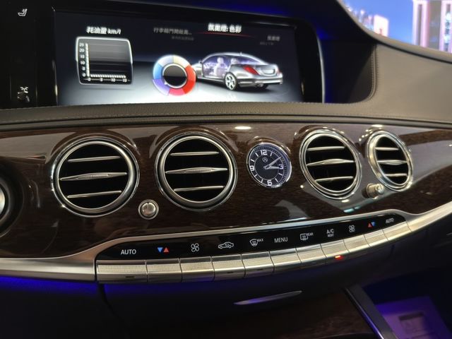 Mercedes-Benz/賓士 S350d L  第21張相片