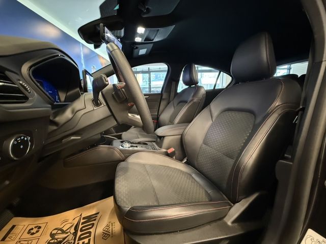 Ford/福特 Focus  第6張相片
