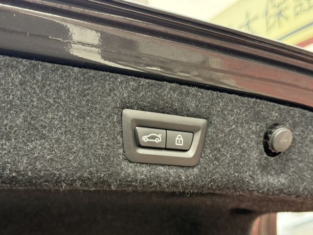 BMW/ 寶馬 520i  第27張相片
