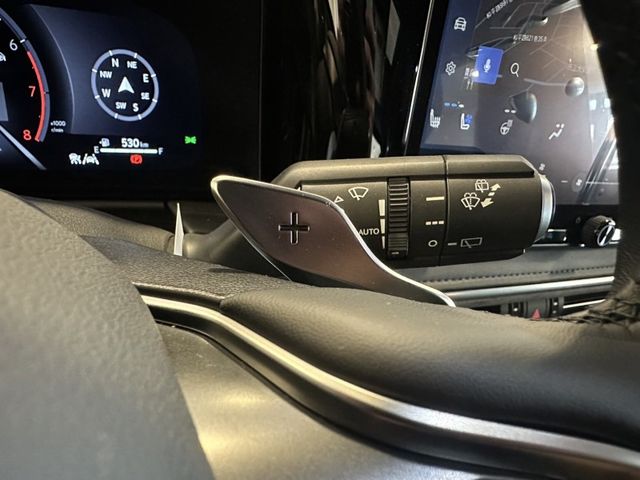 Lexus LM  第33張相片