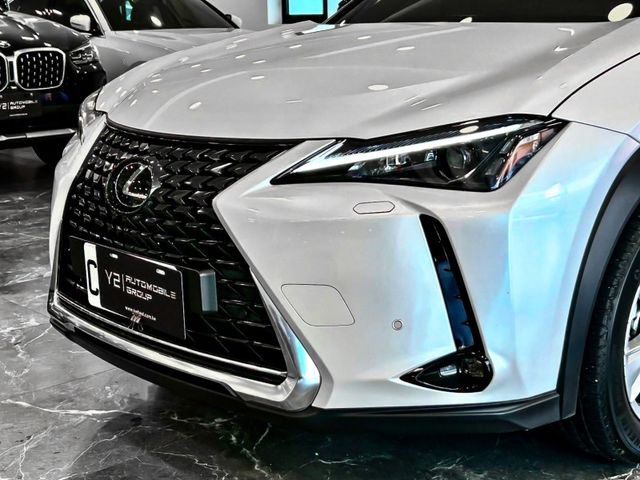 Lexus UX  第34張相片