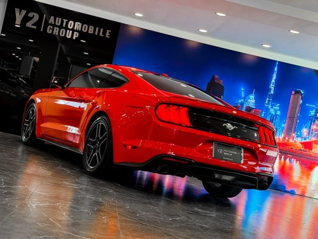 Ford/福特 Mustang  第16張相片
