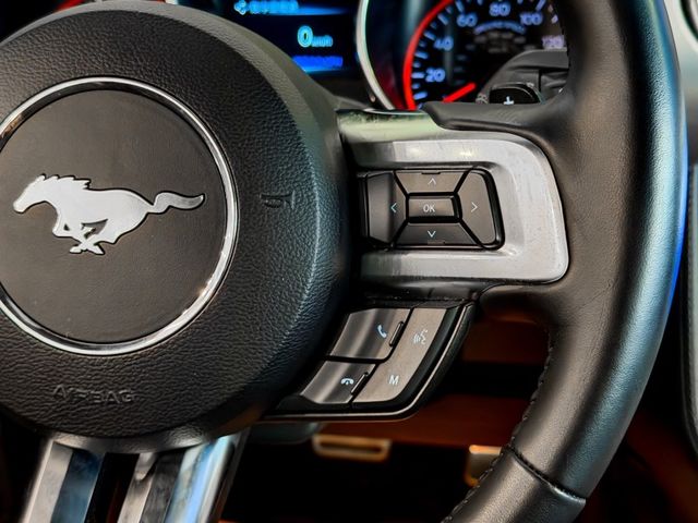 Ford/福特 Mustang  第22張相片