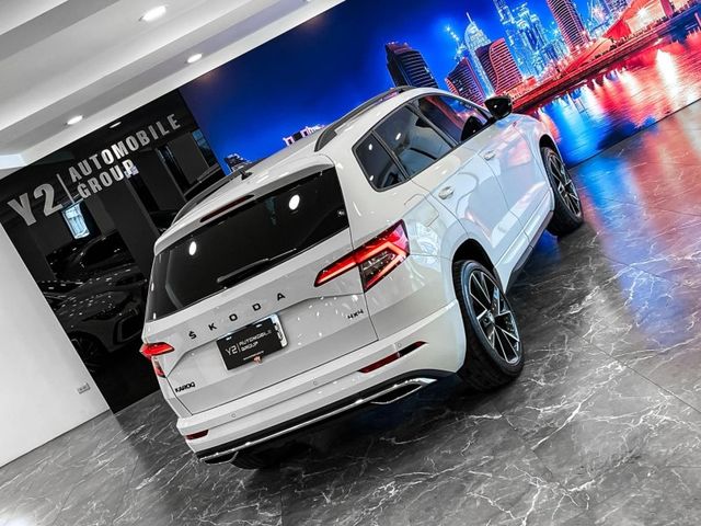 Skoda Karoq  第16張相片