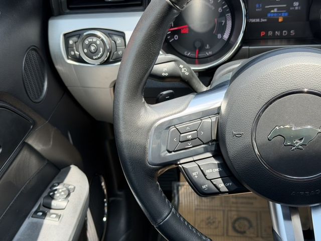 Ford/福特 Mustang  第13張相片