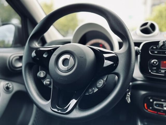 Smart FORFOUR  第9張相片