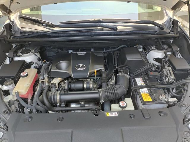 LEXUS凌志 NX300  第11張相片