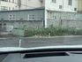 2017 Lexus RX200t F Sport 全景天窗 Mark Levinson 通風椅 抬顯 ACC 環景  第6張縮圖