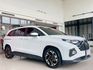 2024 Hyundai Custin GLT-B 七人座 一手車 保固中 里程僅跑一萬一 加裝吸頂電視 全車犀牛皮  第1張縮圖