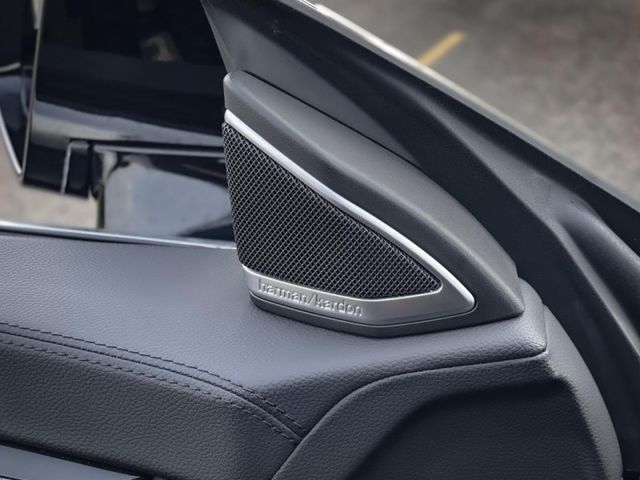 Mercedes-Benz/賓士 CLS-CLASS  第18張相片