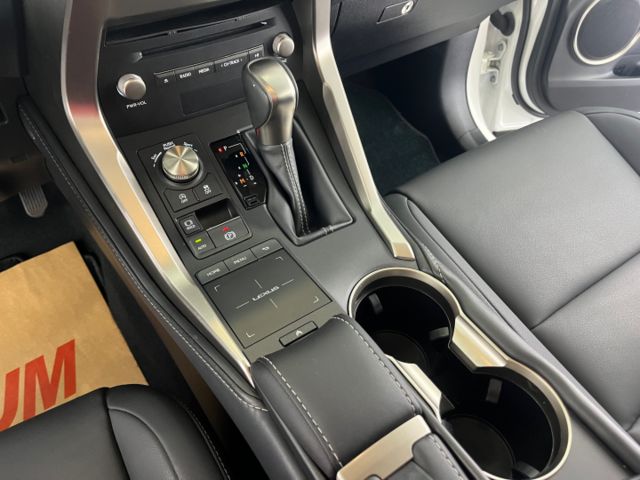 影片賞車✦小改款NX200 菁英PLUS 里程僅跑3萬多 挑戰全網最少！ 全車原鈑件 8向電動椅.電尾門.  第19張相片