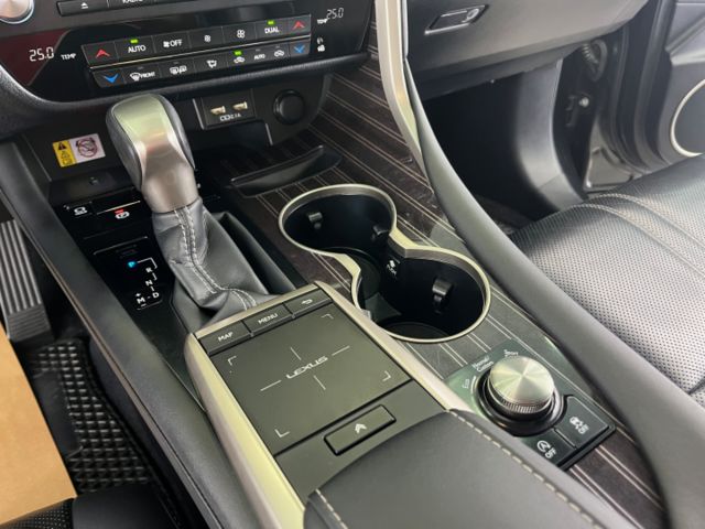 影片賞車✦RX300 旗艦版最頂級 里程僅跑8萬 全車原鈑件 大天窗.360環景.導航.品牌音響.無線充電板 可全部貸款  第19張相片