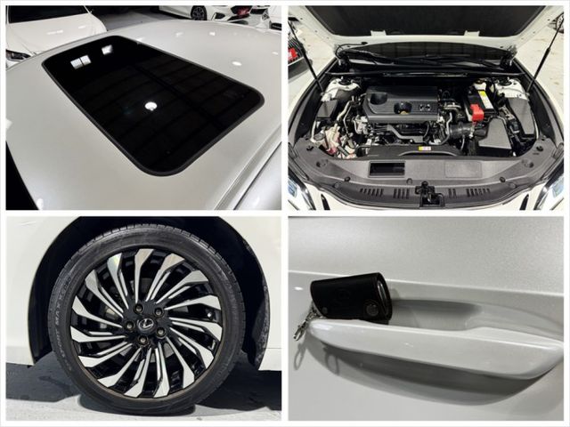 2.0汽油 新型小改款 天窗 I-KEY ACC 12安 環景 車偏 盲點 摸門 行車器 氣氛燈 電動電熱椅  第17張相片