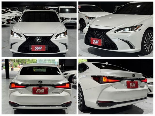2.0汽油 新型小改款 天窗 I-KEY ACC 12安 環景 車偏 盲點 摸門 行車器 氣氛燈 電動電熱椅  第18張相片