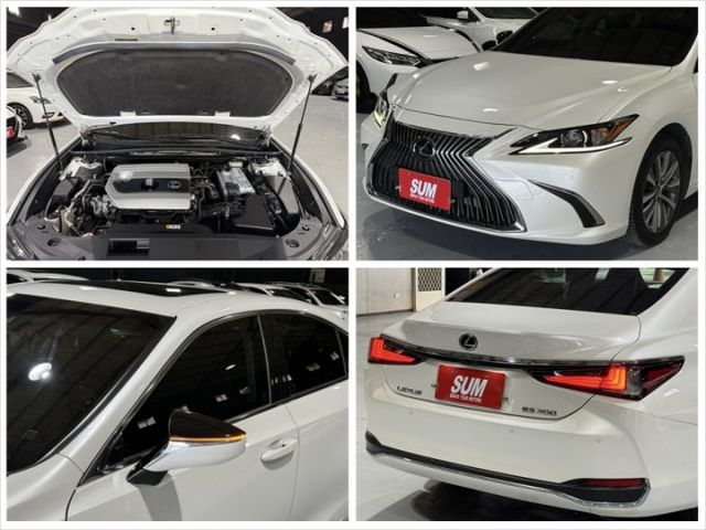 2.0汽油 新型小改款 天窗 行車 ACC 環景 I-KEY 9安 盲點 摸門 方控 快撥 雙電動電熱座椅 車偏  第16張相片