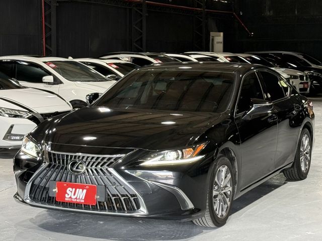 2.0 汽油版 新型小改款 天窗 ACC 環景 盲點 I-KEY 12安 行車紀錄器 雙電動椅 雙電熱座椅 車偏 車偏  第1張相片