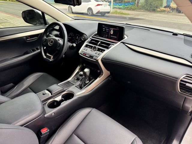 菁英PLUS ACC 電動椅 環景 電尾門 9安 I-KEY 盲點 摸門 方控 顯影 車偏 快撥 原廠保養  第10張相片