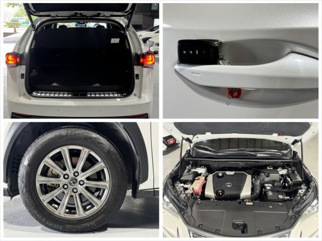菁英PLUS ACC 電動椅 環景 電尾門 9安 I-KEY 盲點 摸門 方控 顯影 車偏 快撥 原廠保養  第19張相片