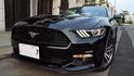 #翔睿好車 正16 靜謐黑 野馬 2.3T未掛牌 特選賽車椅 三組動力方向盤操控  第1張縮圖