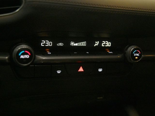 Mazda Mazda3  第18張相片