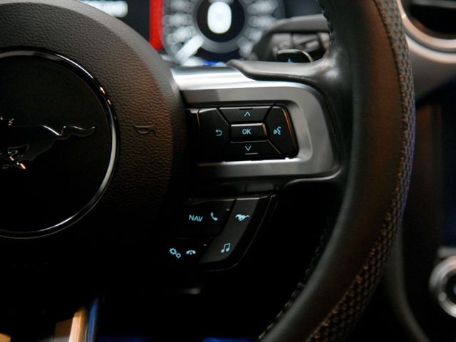 Ford/福特 Mustang  第17張相片