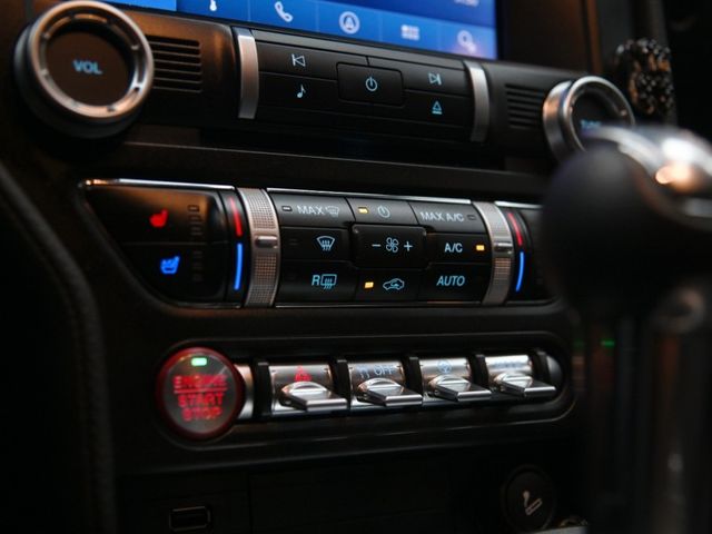 Ford/福特 Mustang  第19張相片