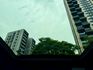 ST LINE 全景 360環景 Co pilot 360 腳踢尾門 抬顯 B&O音響  第6張縮圖