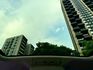 豪華版 小改款 全景天窗 電滑門 電尾門 360環景  第6張縮圖