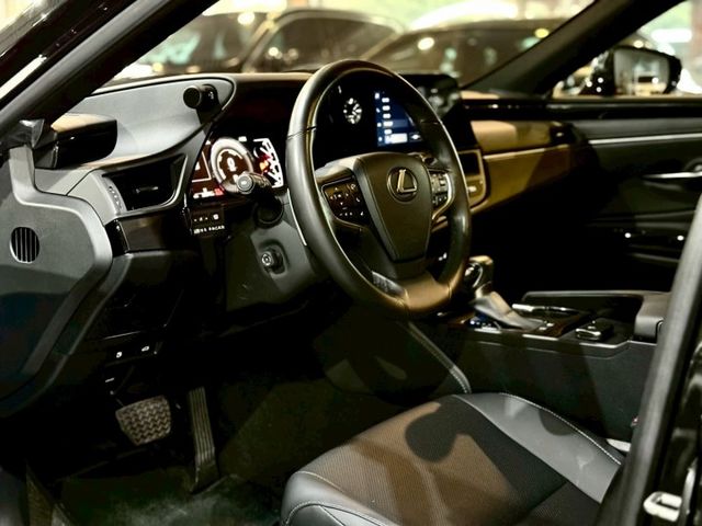 豪華版 ACC 盲點 車維 車偏 天窗 電動椅 加熱椅  第6張相片