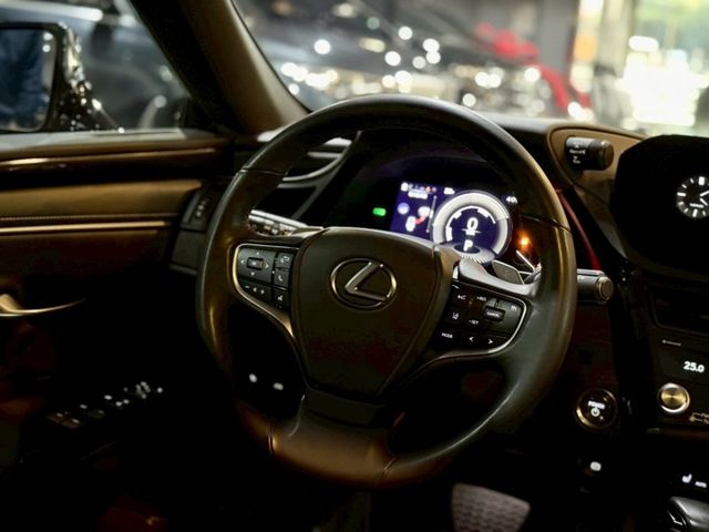 豪華版 ACC 盲點 車維 車偏 天窗 電動椅 加熱椅  第9張相片