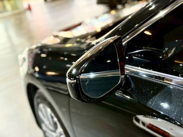 豪華版 ACC 盲點 車維 車偏 天窗 電動椅 加熱椅  第10張相片